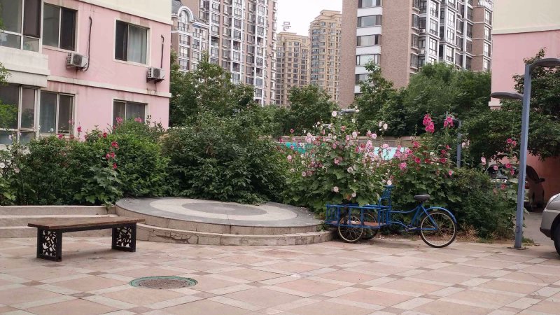 城建草仓公寓,草仓路72-4号-沈阳城建草仓公寓二手房,租房,房价-沈阳