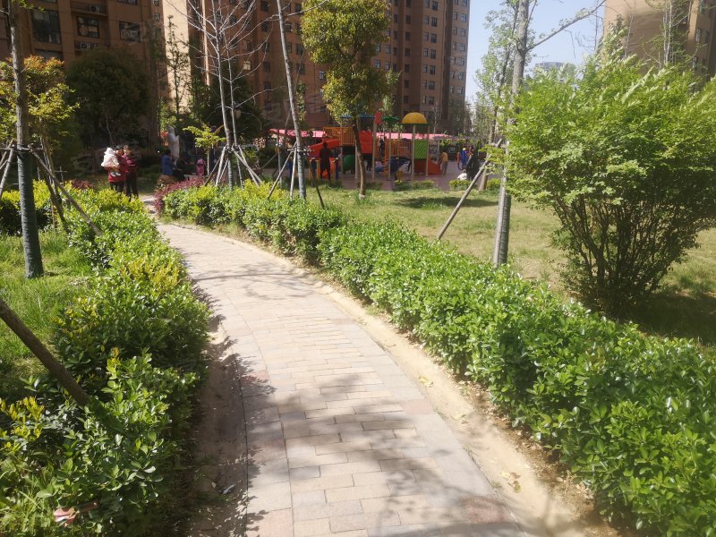 金色龙湾,滨河东路,近黄河东路-漯河金色龙湾二手房,租房,房价-漯河