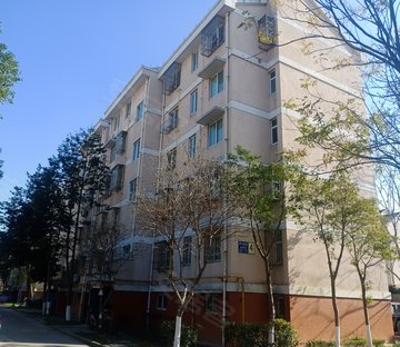 芦川花苑金星苑