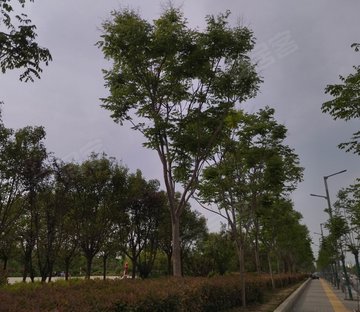珠江路8号小区