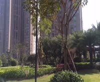 复星花园(一期)