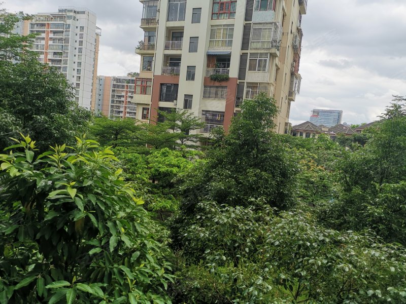 枫林蓝岸(别墅)