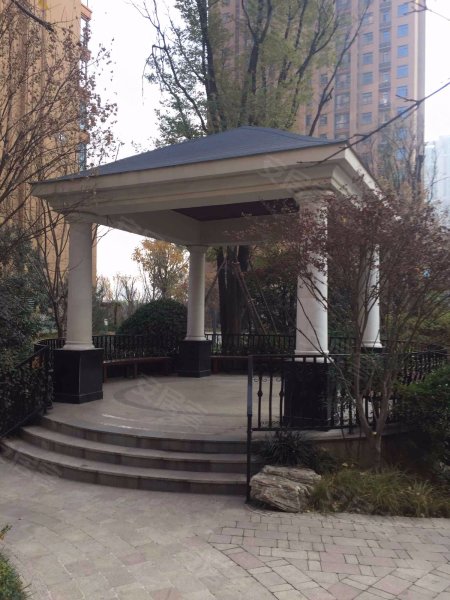 天地源枫林意树