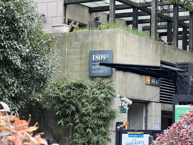 浦江华侨城(二期1809弄别墅) 