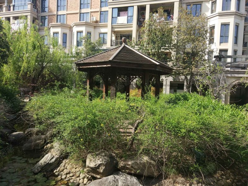 绿城桂花园,黄山路629号-合肥绿城桂花园二手房,租房,房价-合肥安居客