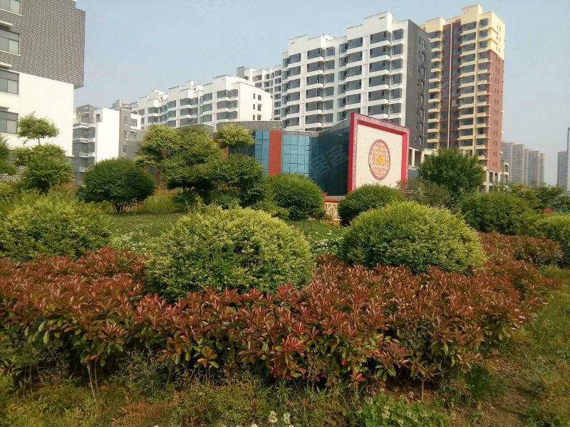 龙泽国际,科技大道132号-临沂龙泽国际二手房,租房,房价-临沂安居客