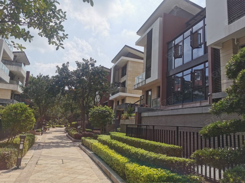 星河时代(别墅)