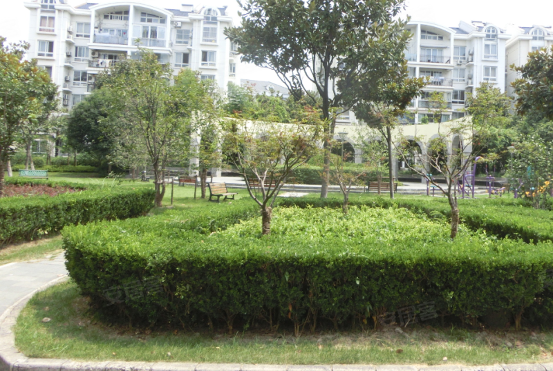 东兰兴城玉兰苑 