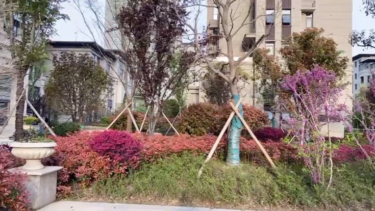 新城首府(泗阳)