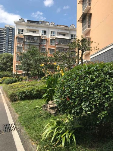 东城花园,车站路 - 宜昌东城花园二手房,租房,房价-宜昌安居客