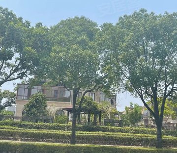 红树林赞成铂廷别墅