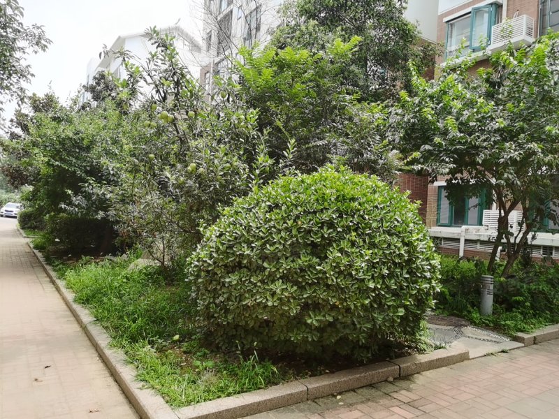 国华经典,御碑楼路67号-泰安国华经典二手房,租房,房价-泰安安居客