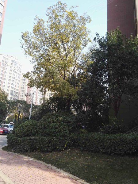 九龙城红郡,樊哙路-达州九龙城红郡二手房,租房,房价-达州安居客