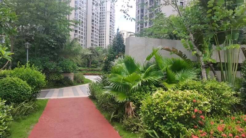 绿地海森林,长彤路-海口绿地海森林二手房,租房,房价-海口安居客