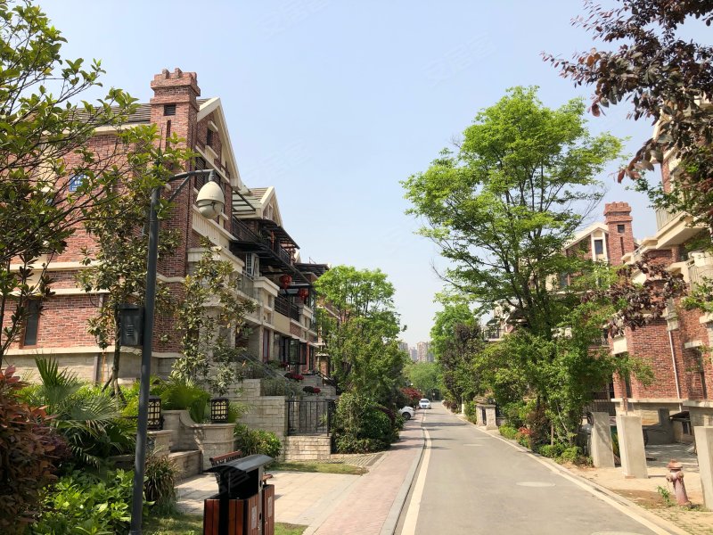 东山国际君度半山