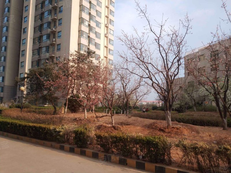 文博城,西港路-秦皇岛文博城二手房,租房,房价-秦皇岛安居客