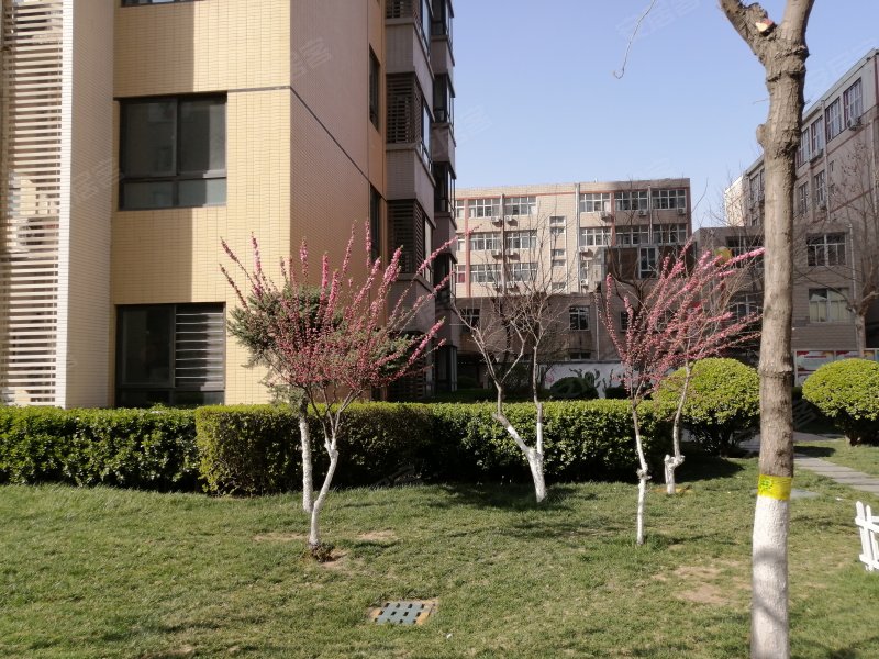 西美花城(商住楼),汇丰路-石家庄西美花城(商住楼)二手房,租房,房价