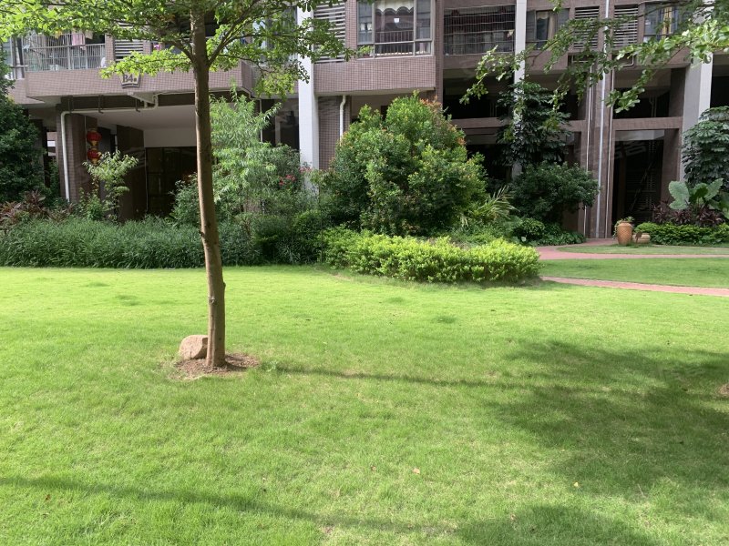 壹江南,梅水路20号-梅州壹江南二手房,租房,房价-梅州安居客