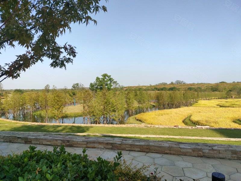 华侨城欢乐明湖