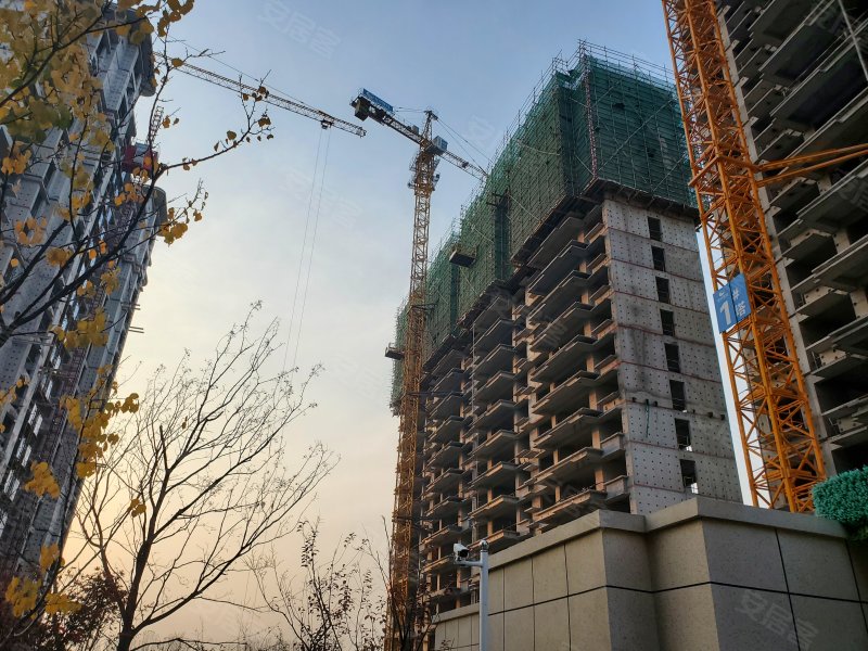 鑫都紫宸府,凤岐路-济南鑫都紫宸府二手房,租房,房价-济南安居客