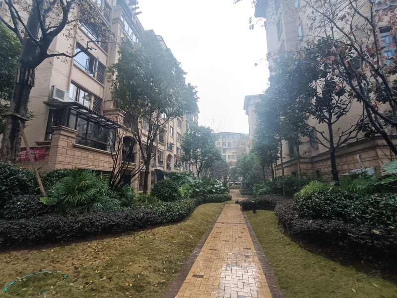 南川金科世界城