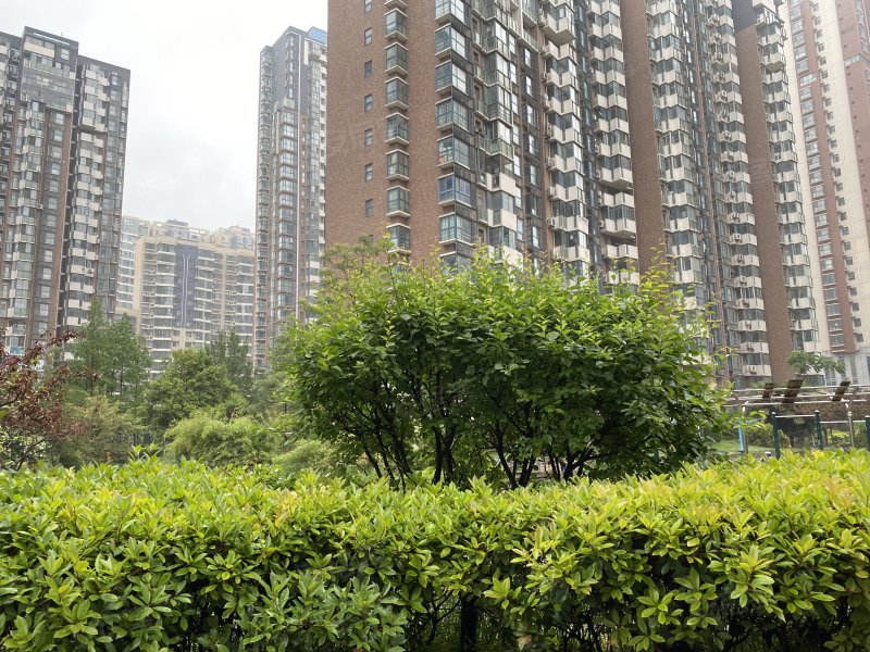 怡丰森林湖(四期),天河路-郑州怡丰森林湖(四期)二手房,租房,房价