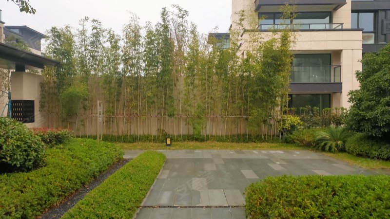 万科第五园别墅