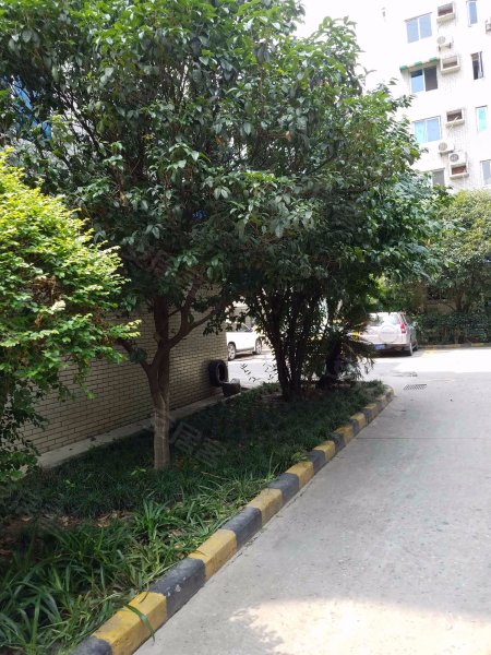 天府花园(2期),蓝天路38号-成都天府花园(2期)二手房,租房,房价-成都