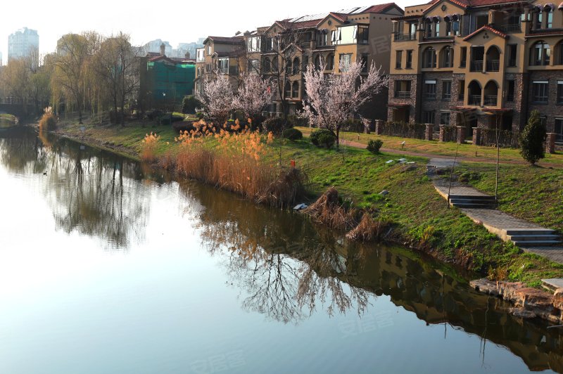 和昌森林湖,兴城西路-扬州和昌森林湖二手房,租房,房价-扬州安居客