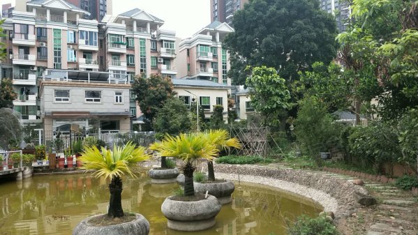 逸涛半岛 广州独栋别墅 四房仅售430万