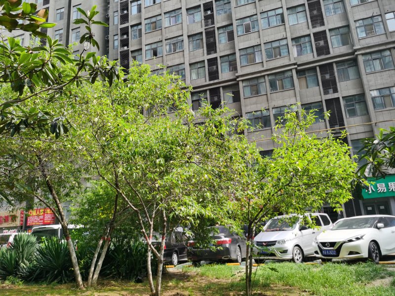 金汇苑,众意西路8号-郑州金汇苑二手房,租房,房价-郑州安居客