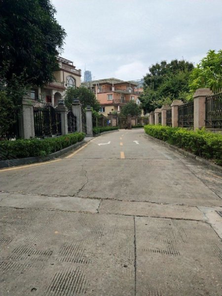 大自然花园(别墅),青秀路18号-南宁大自然花园(别墅)二手房,租房,房价