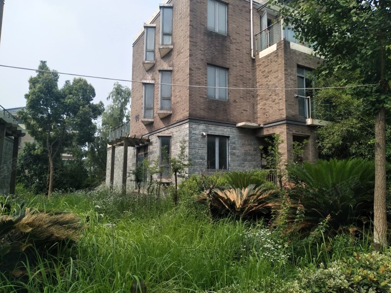 巢上城(东区),盘龙大道9号-武汉巢上城(东区)二手房,租房,房价-武汉