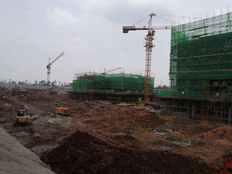 鸿通公园1988,新城一路-南充鸿通公园1988二手房,租房,房价-南充安居