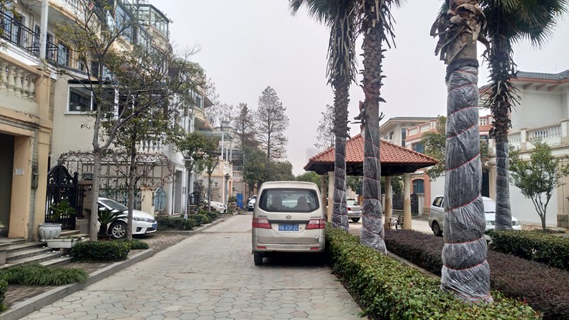 梦湖香郡(别墅)