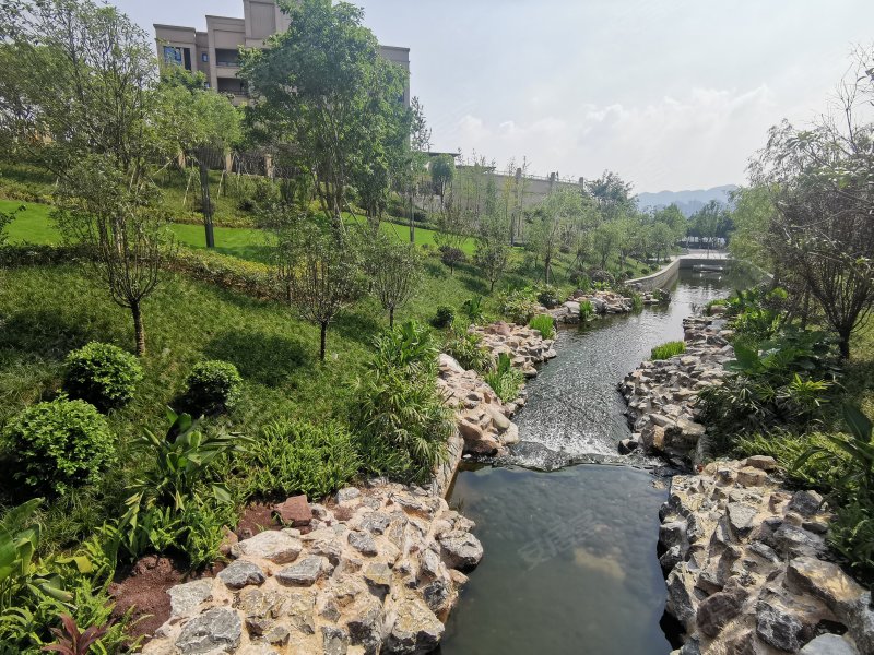 中伦金海岸,华山南路23号-重庆中伦金海岸二手房,租房,房价-重庆安居