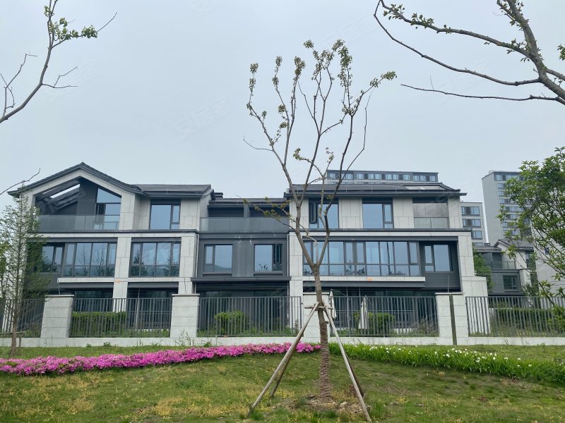 融创金成湖山赋