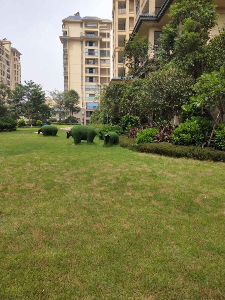 万达茂御江国际