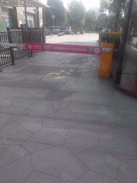 金鼎香樟苑(西区) 