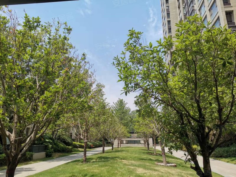 中牟建业春天里(一期),瑞昌路100号-郑州中牟建业春天里(一期)二手房