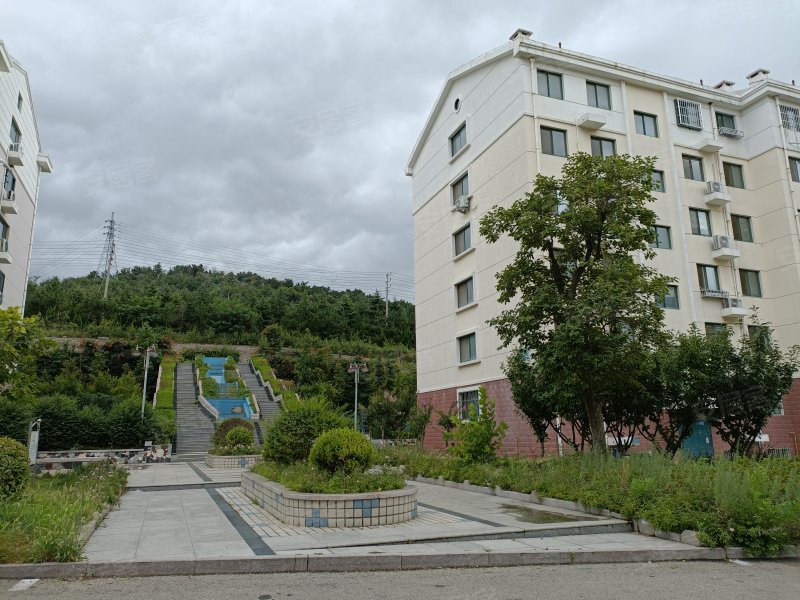 田村a区,佛顶山路-威海田村a区二手房,租房,房价-威海安居客