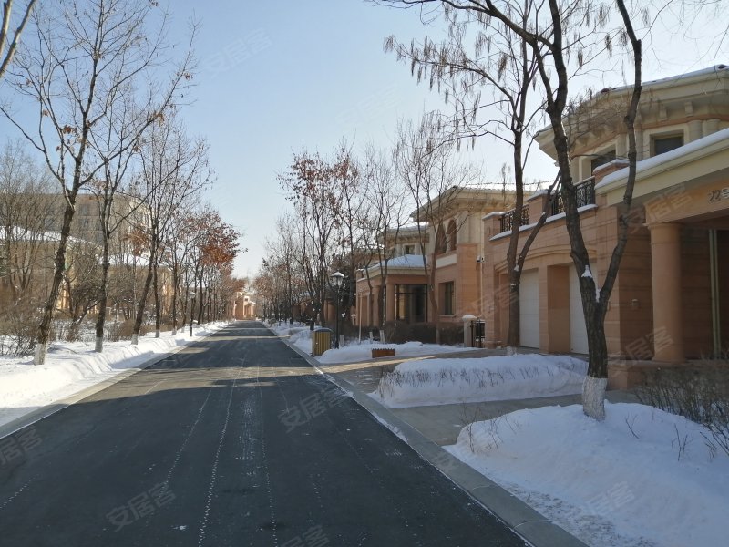 伟峰领袖领地(别墅)