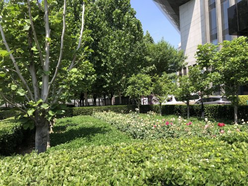 华天大厦,小马厂6号 - 北京华天大厦二手房,租房,房价-北京安居客