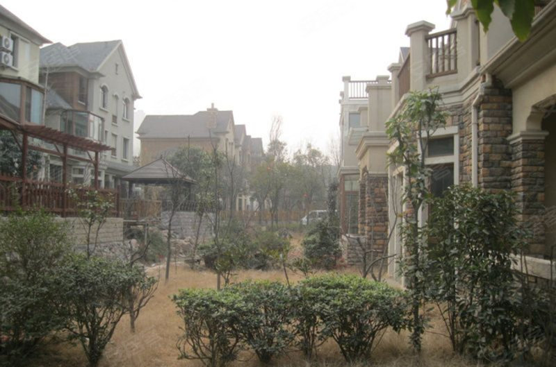 郑州森林半岛别墅图片