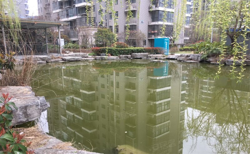 天山绿洲三期a区,淮海西路268号-徐州天山绿洲三期a区二手房,租房