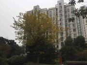 荆溪人家东方国际 方便有电梯 商品房 南向采光好 近,