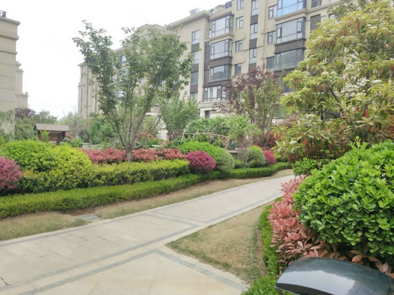 汀香郡(别墅),成都路-临沂汀香郡(别墅)二手房,租房,房价-临沂安居客