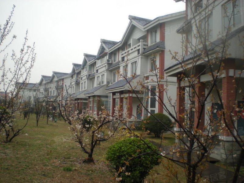 水映唐庄(别墅),开元路-郑州水映唐庄(别墅)二手房,租房,房价-郑州