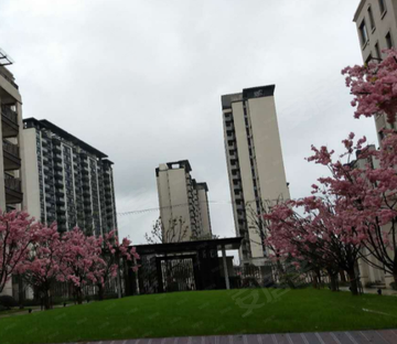 卓越维港(公寓住宅)