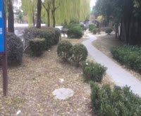 崮山小区二街坊